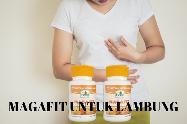 Solusi Untuk Masalah Lambung Memahami dan Mengatasi dengan Herbal Magafit